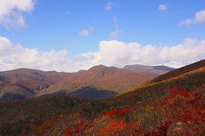 後白髪山の外観