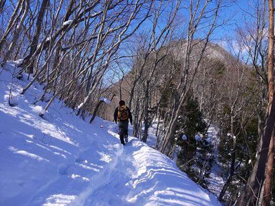 戸神山の外観