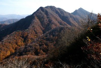 鷲ヶ巣山の外観