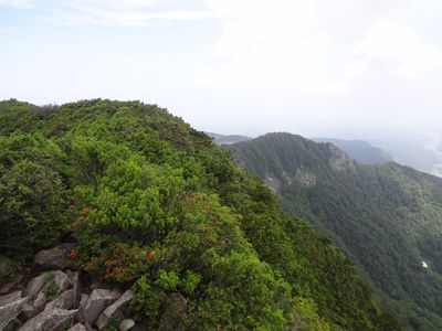 甲ヶ山の外観