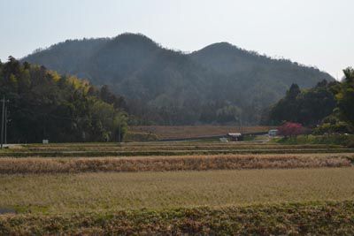 要害山の外観