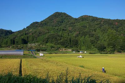 二上山の外観