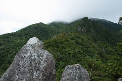 ハネズル山の外観