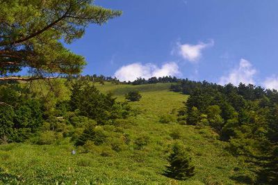 沓掛山の外観