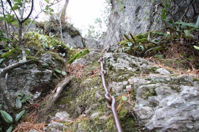 総津権現山の外観