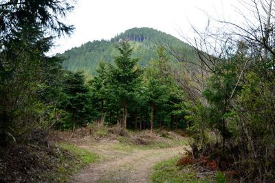 高森山の外観