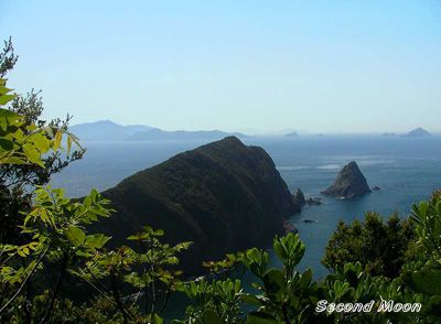 由良山の外観