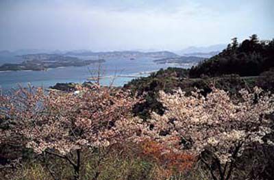 十禅寺山の外観