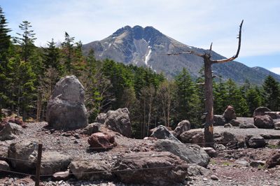 日光白根山の外観