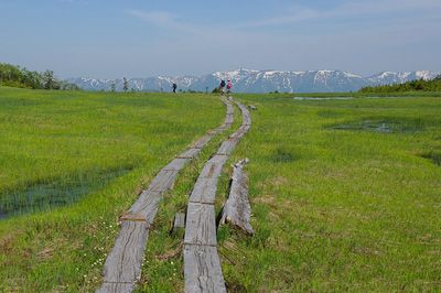 田代山の外観