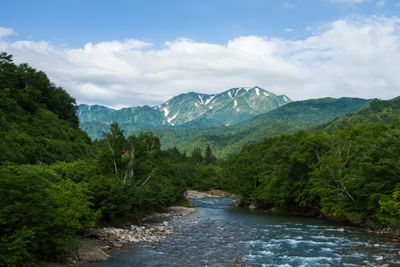 越後駒ヶ岳の外観