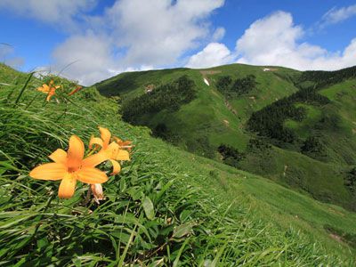 巻機山の外観