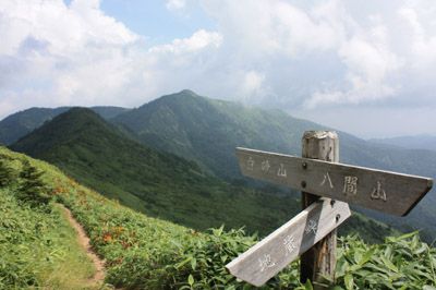 白砂山の外観