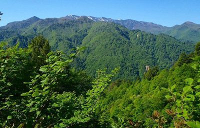 鳥甲山の外観