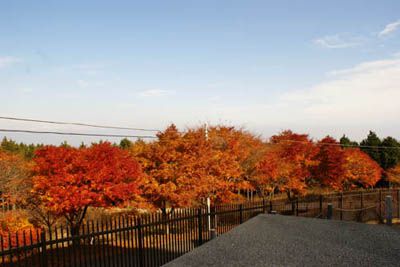 堂平山の外観