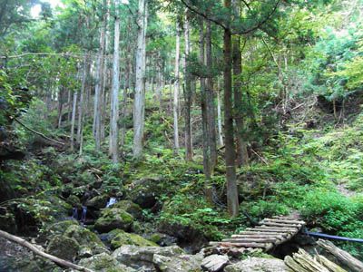 伊豆ヶ岳の外観