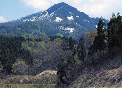 菱ヶ岳の外観