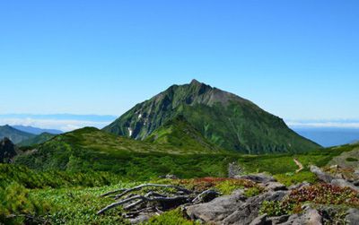 ニペソツ山の外観