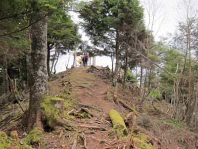 鬼面山の外観