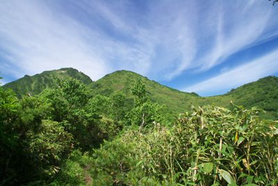 芦別岳の外観