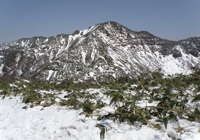 経ヶ岳の外観