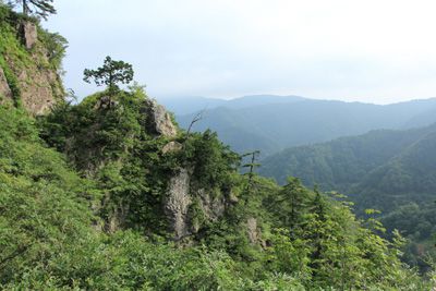 冠山の外観