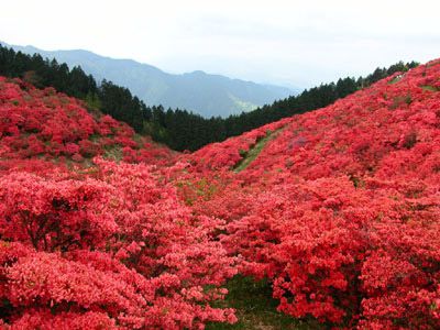 大和葛城山の外観