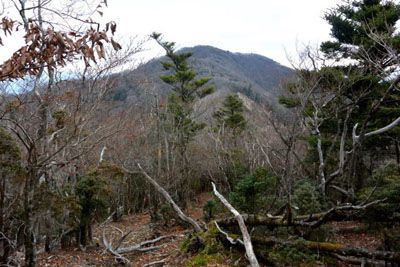 冷水山の外観