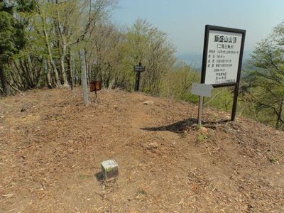 飯盛山の外観