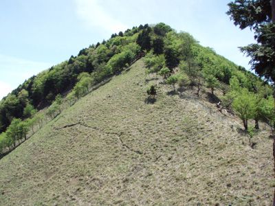 東床尾山の外観