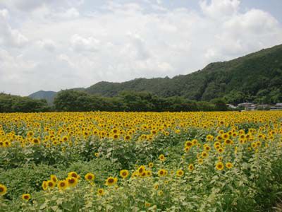 三室山の外観