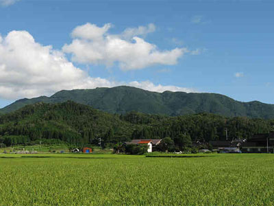 津黒山の外観