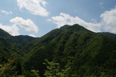 猿政山の外観