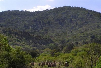 臥龍山の外観