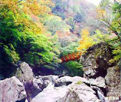 安蔵寺山の外観