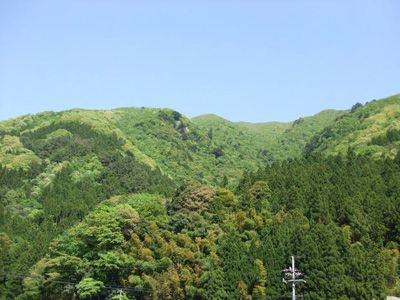 小五郎山の外観