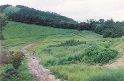 羅漢山の外観