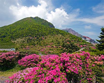 雲仙岳の外観