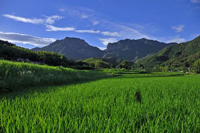 行縢山の外観