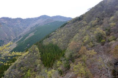 上福根山の外観