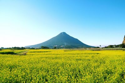 開聞岳の外観