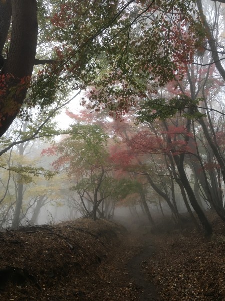 塔ノ岳