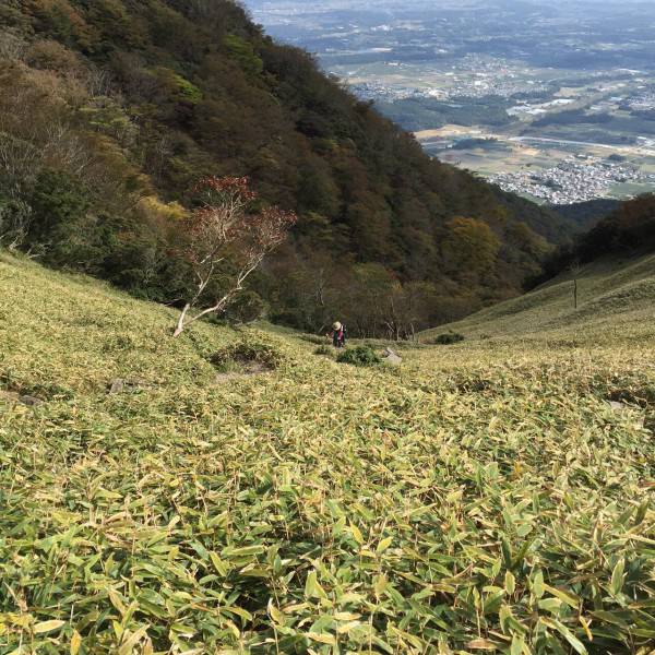 鈴鹿セブンマウンテンの一座目に挑戦!
とにかく急登でキツかった。
写真の米粒ぐらいの人は私です。もう無理!と心が折れそうになってました。
この後、感動が待ち受けてました。