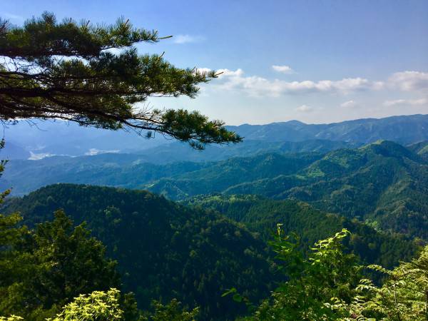 白鳥山
