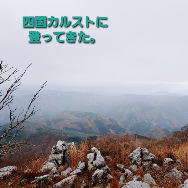 大野ヶ原