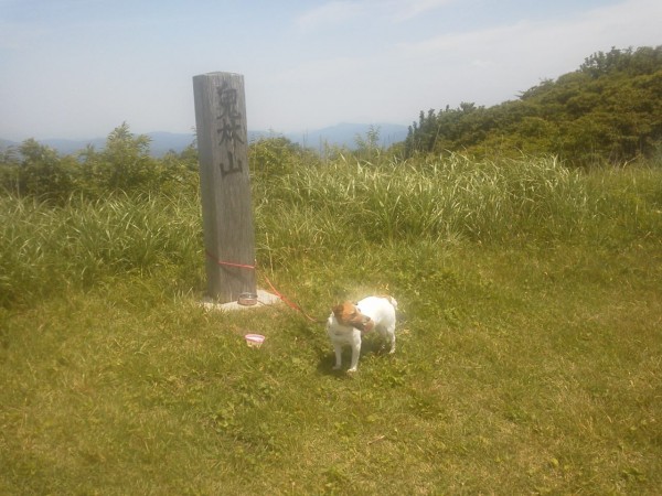 鬼林山
