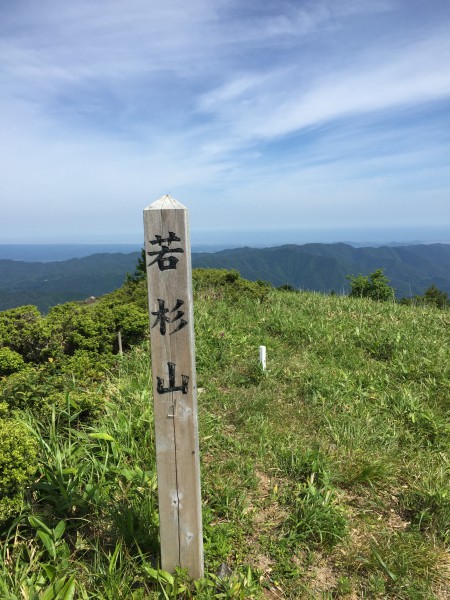 若杉山