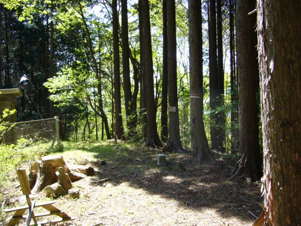 神野山