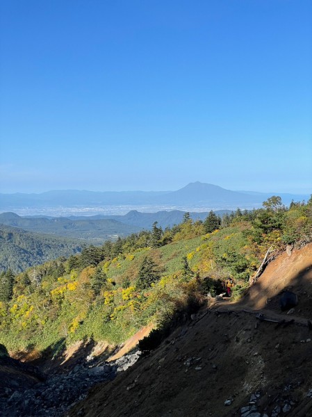 高田大岳