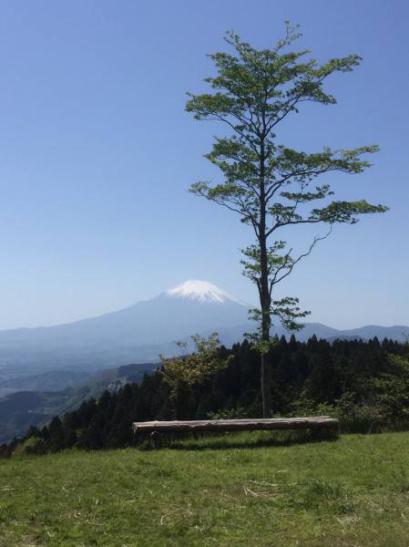 仙元山